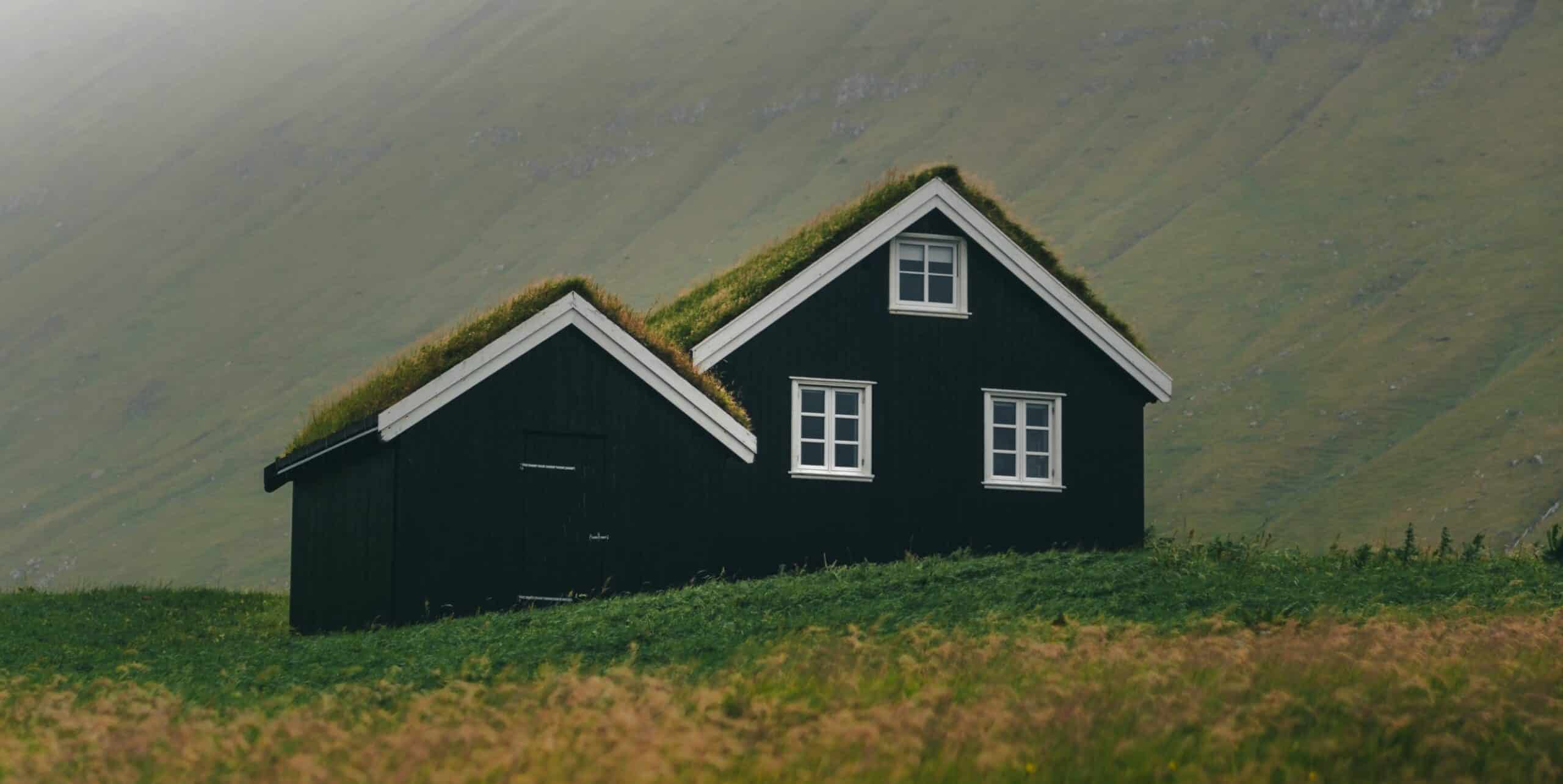 Sod-roofed house in nature